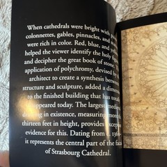 Harry N. Abrams Cathedrals and Castles by Alain Erlande-Brandenburg, Hardcover