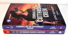 Lot of 2 Juno Rushdan Contemporary Cowboy Romance Harlequin Paperback Book