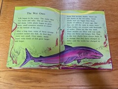 Prehistoric Monsters Did the Strangest Things 1974 Hardcover HC