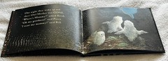 Owl🦉Babies📘Candlewick📀Storybook🥚Animations Book +DVD Martin Waddell FreeShip