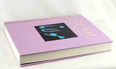 RUMI ILLUSTRATED by Jalal Al-Din Rumi (Chinese Bound Hardcover) *Brand New*