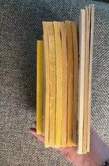 Lot of 11 Vintage Scholastic Chapter Books 1960’s- 1970’s paperbacks
