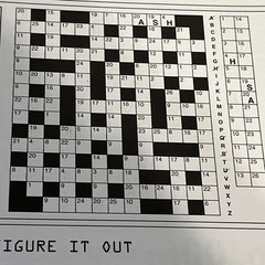Deadly Skills Puzzle and Activity Book Brain Teasers 2018 Clint Emerson