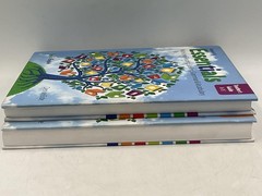 Essentials: Multi-Level Reading, Spelling, Grammar & Vocabulary By Denise Eide