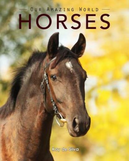 Horses: Amazing Pictures & Fun Facts On Animals In Nature