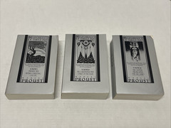Marcel Proust Remembrance of Things Past 3 Volume Set Paperback Slipcase 1982