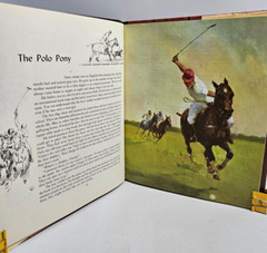 Album of Horses by Marguerite Henry, Illustrated by Wesley Dennis, 1965