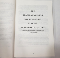 The Black Awakening Rise of the Satanic Super Soldiers By Russ Dizdar 2009 Book
