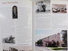 Rockford IL Catholic Diocese Centennial History 1908 – 2008 HC 376 Pages OOP