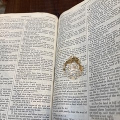 VTG 1973 Holy Bible New Analytical Edition Dickson KJV Moroccan Leather DAMAGED