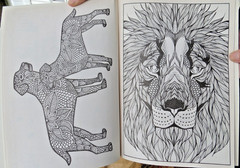 ADULT Cats and Dogs COLORING BOOK Relax Rewind bendon inc. Lions Tigers
