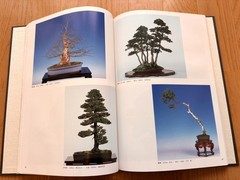 Nihon Bonsai Taikan Ten 17, 18th Set Exhibition Japanese Art Photobook used JPN