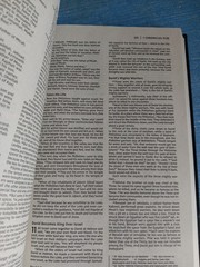 Holly Bible New Testament, New International Version, New Condition, Black