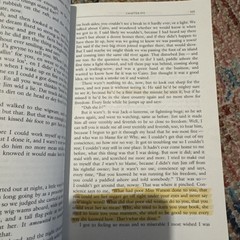 The Adventures of Huckleberry Finn : Critical Controversies Mark Twain Graff