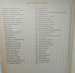 1984 REPRINT 1879-1881 CLASSIC ENCYCLOPEDIA OF THE DOG by VERO SHAW Art History