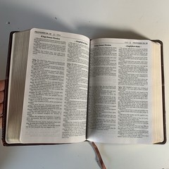 KJV, AMPLIFIED, Side-by-Side BIBLE, LARGE PRINT, IMITATION Zondervan