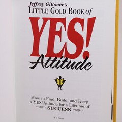 Jeffrey Gitomer’s YES Attitude For Lifetime Of SUCCESS BOOK BUSINESS MOTIVATION