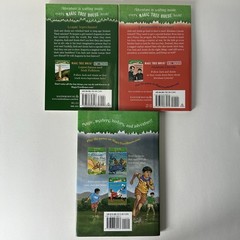 Lot of 15 Magic Tree House Books, Mary Pope Osborne, Mixed Lot, Good