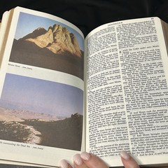 KJV HOLY BIBLE Gift Edition Tyndale Red Letter King James Version 2374-0 9/1981