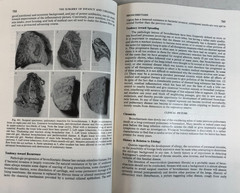 The Surgery of Infancy and Childhood, Gross, 1953, E-119
