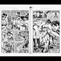 Eric Stanton, Steve Ditko: STANTOONS, (Steve Ditko: Spider-Man, Marvel Comics)