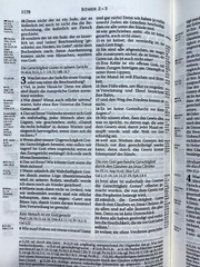 German Bible, Die Bibel, Schlachter 2000, Imitation Leather, Brown Black 2-toned