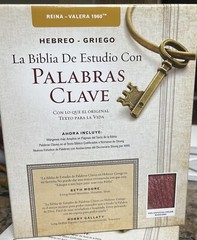 BIBLIA PALABRAS CLAVE DICCIONARIO HEBREO- GREIGO PIEL ESPECIAL BORGOÑA RV 1960