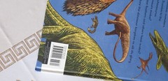 Dinosaurium: Welcome to the Museum Book by Lily Murray Hardcover 112 Pages