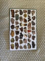Illustrated Guide to Rocks and Minerals (Hardcover, 2018) by John Farndon