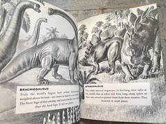 Dinosaurs by Herbert S. Zim Illus. by James Gordon Irving c.1976 Library Edition