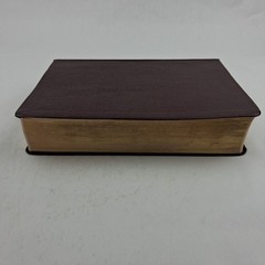 The Quest Study Bible New International Version Bonded Leather Large Print