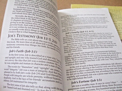 DR. DAVID JEREMIAH STUDY GUIDES TRIED, TESTED & TRIUMPHANT 2016 VOL 1-2
