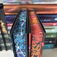 Torment Part 1 and Part 2 by Dylan Page Mystic Book Box Special Editions