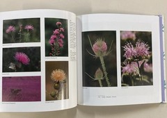 Wildflowers Across America HC Lady Bird Johnson and Carlton Lees 1988 Very Good