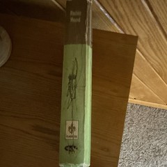 The Merry Adventures of Robin Hood HC Howard Pyle Whitman Classics Illus.