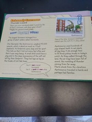 Discovering dinosaurs Book and 5 jigsaw puzzles