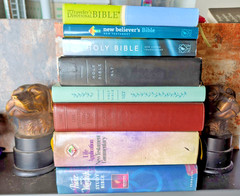 NLT BIBLE LOVER LOT J4: Includes several 1996c. Life Application Study, Journal