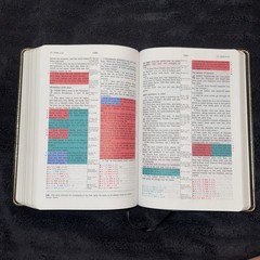 KJV Prophecy Marked Reference Study Bible Grant R. Jeffrey Black Leather 1998