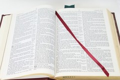 Holy Bible NKJV Red Family Edition Leather1985 Nelson 255BGCE 11.5×8.5×2 Inches