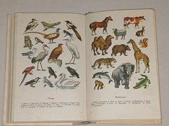 1981 В. Бирюков – Толковый словарь русского языка. Vintage Book in Russian