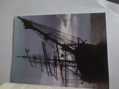 Beautiful Isles Cayman by Paul Humann Paperback book 104 Pages 11.5 X 9 Inch
