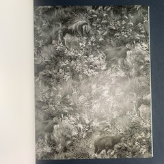 Anne Golaz : Metsasta : Hardcover, 120 pages : NEW, Inscribed by artist