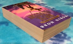 Royal Assassin / Robin Hobb (1996 Bantam Trade PB) The Farseer Trilogy #2