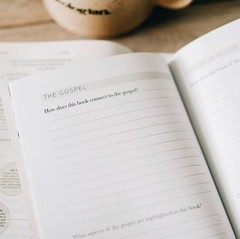 The Daily Grace Co Book by Book Bible Study