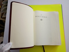 ESV Single Column Journaling Bible (TruTone, Chestnut, Leaves Design) Crossway