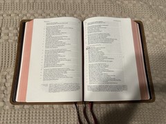 Schuyler ESV Stridon Bible – Desert Camel Calfskin Leather