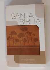 Santa Biblia Clasica Edicion Especial Ocre RVR 1977 Grupo Nelson 9781602552593