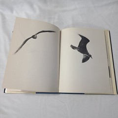 1970 The Macmillan Company, by Richard Bach, Jonathan Livingston Seagull