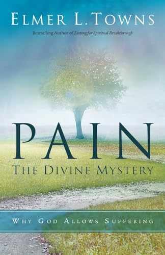 Pain: The Divine Mystery: Why God – Paperback, by Towns Elmer L. – Very Good