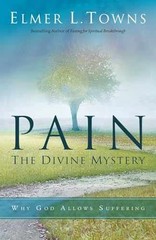 Pain: The Divine Mystery: Why God – Paperback, by Towns Elmer L. – Very Good